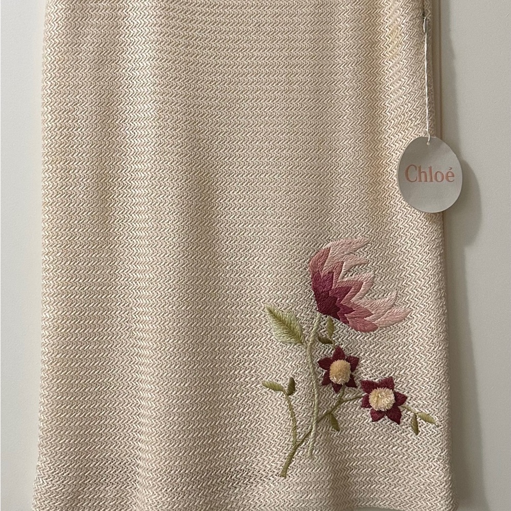 Chloe skirt. New with tags. Extremely rare, vintage Spring/Summer 1999
